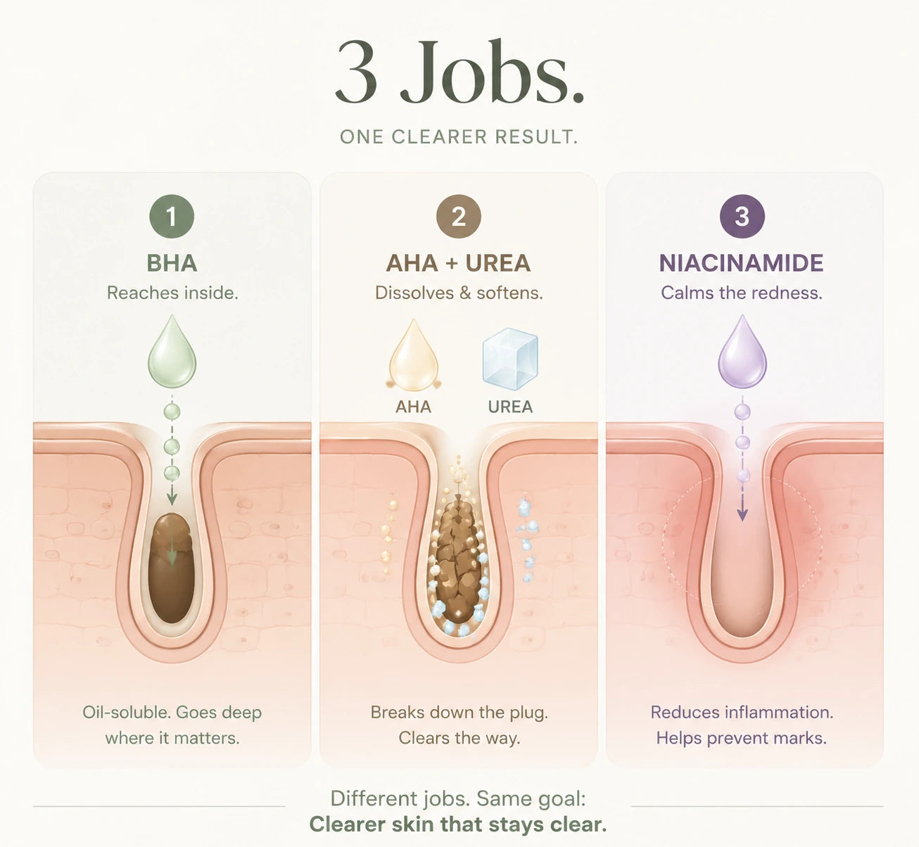 Scrubs vs acids — how they reach the follicle